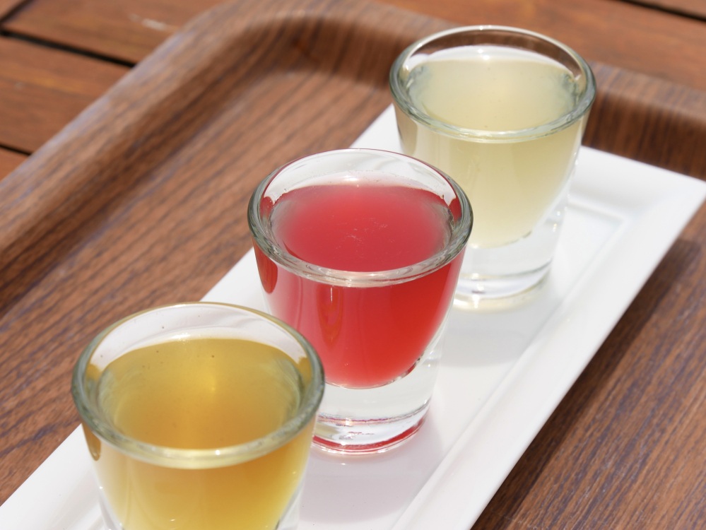 お酒好きにおすすめ!「生」チェッロの3種お試しセット