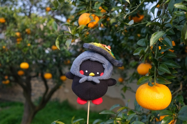 地元ライターが行ってみた!