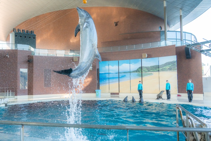 下関市立しものせき水族館・海響館