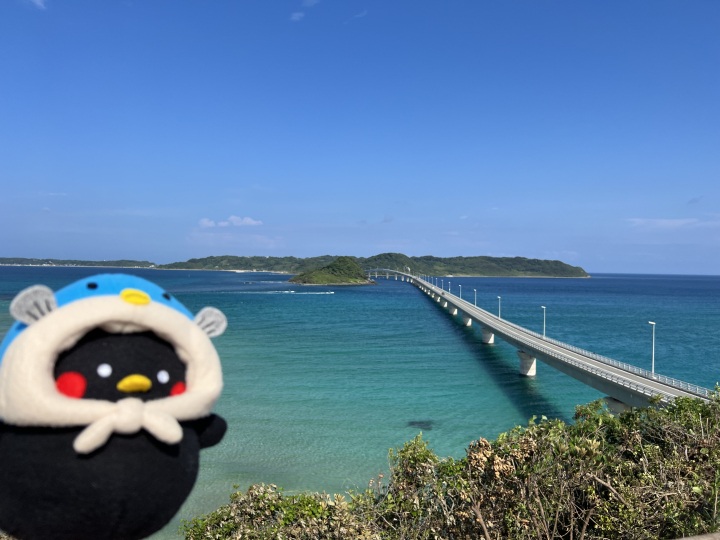 地元ライターが行ってみた!
