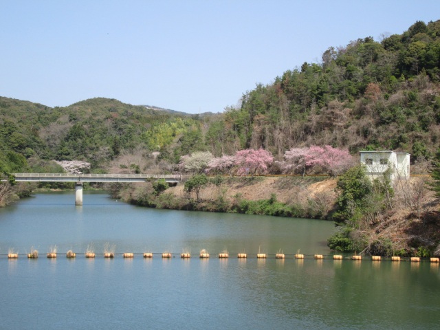 今富ダム公園