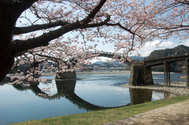 錦帯橋