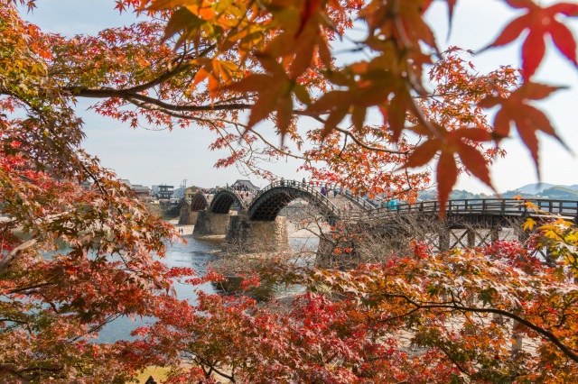 錦帯橋と紅葉