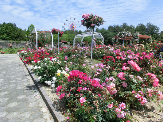蜂ヶ峯総合公園