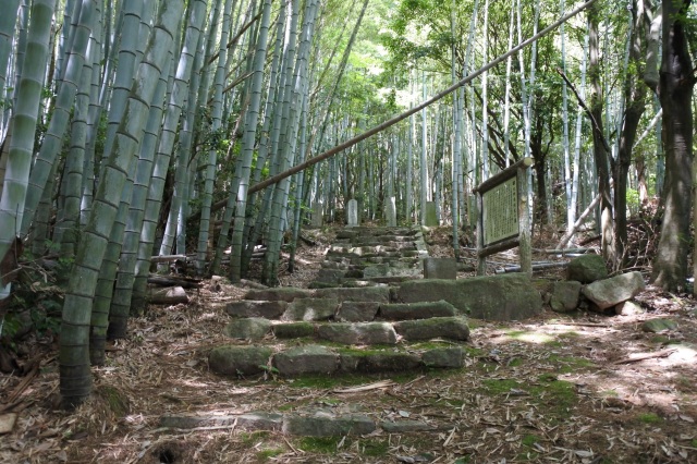 大野毛利家墓所（海前寺跡）
