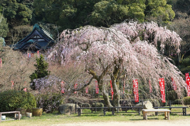 般若寺