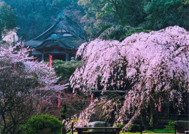 般若寺