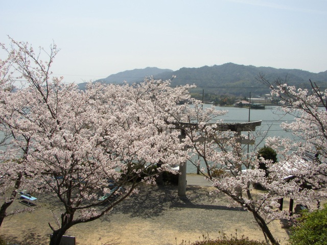 長沢池