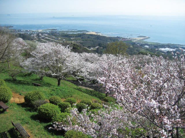 竜王山公園