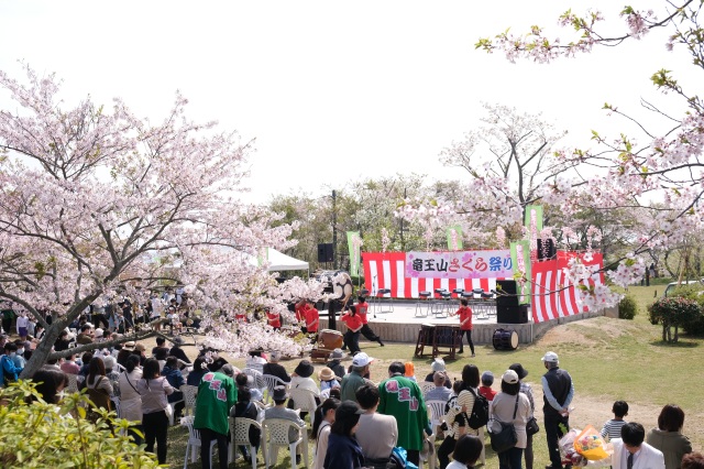 竜王山公園さくらまつり