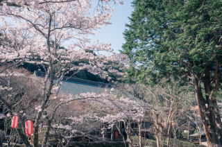 大寧寺