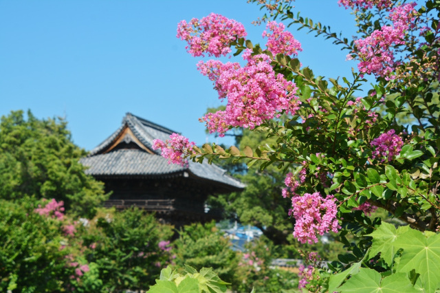 周防国分寺