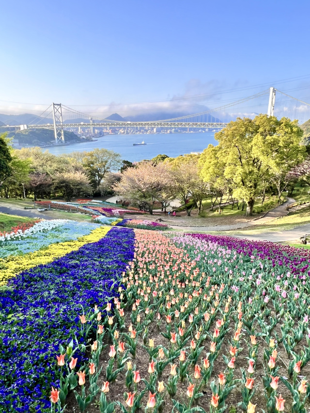 火の山公園