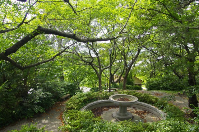 若山公園