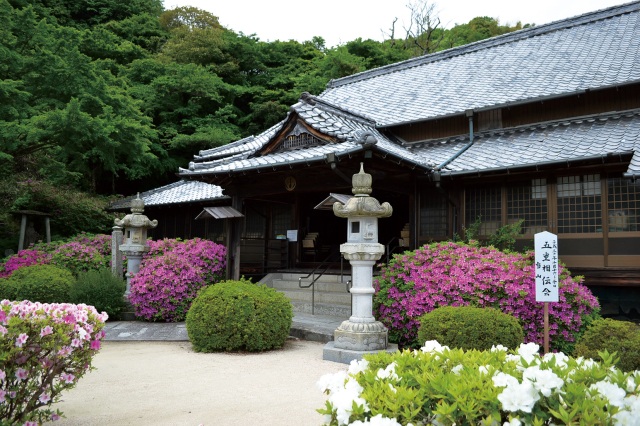 専称寺