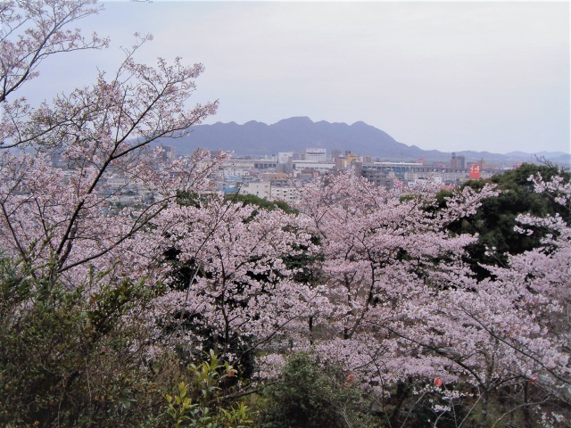 栄山公園