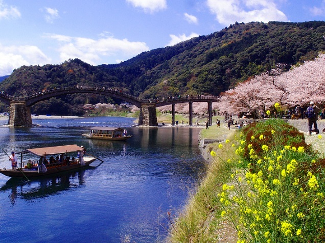 サクラ
