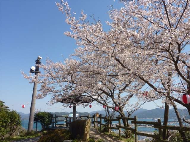 王子山公園