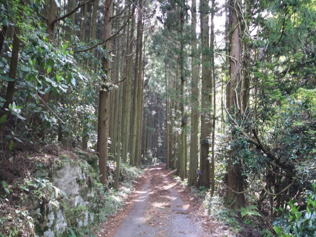 花尾山