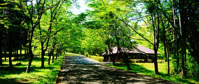 里山フェスin秋吉台