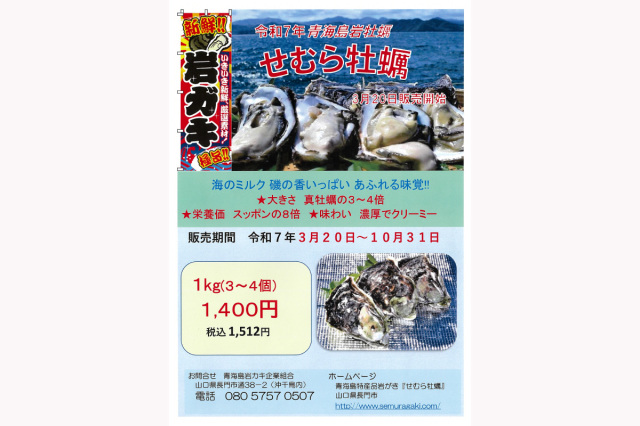 山口県長門市青海島で育った「せむら牡蠣」が今年も販売中!